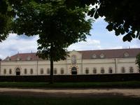 Tag 9 - 6 - Haras-Gestüt in Cluny