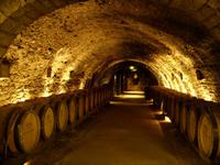 Tag 9 - 7 - Weinverkostung in Cave Reine Pédauque (6)