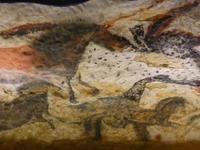 4. Tag Lascaux 