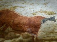 4. Tag Lascaux 