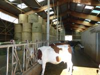 8. Tag Ferme de Lambres 