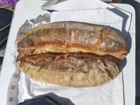 6. Tag Picknick mit Brot von Larzac