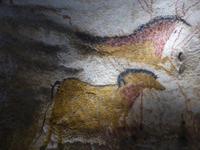 4. Tag Lascaux 