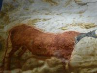 4. Tag Lascaux 