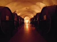 In einem Weinkeller in Beaune