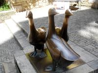 Produzenten der Gänseleber von Sarlat