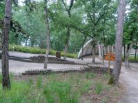 Lascaux (Archiv)