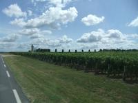 St.-Emilion. Wein