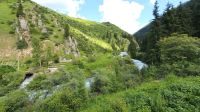 0313-Im Nationalpark Karakol