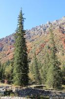 Ala Artscha Naturpark