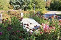 Prschewalski Museum bei Karakol