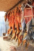 auf dem Weg nach Bishkek - Stopp an einem Verkaufsstand