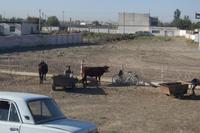 auf dem Weg nach Samarkand