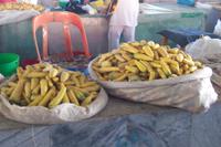 gelbe Möhren für Plov