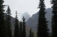 Sommerfrische Ala Arca