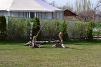 Kasachstan - Raubvogel-Show in der Falknerei Sunkar