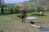 Kasachstan - Raubvogel-Show in der Falknerei Sunkar