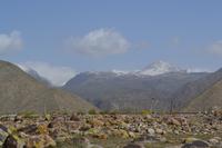 Kirgisistan - Petroglyphen am Issyk-Kul-See