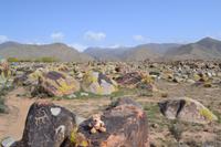 Kirgisistan - Petroglyphen am Issyk-Kul-See
