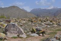Kirgisistan - Petroglyphen am Issyk-Kul-See