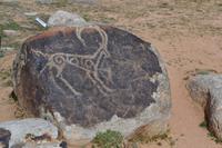 Kirgisistan - Petroglyphen am Issyk-Kul-See