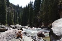 Kirgisistan - Wanderung durch die Grigorjewka-Schlucht