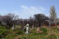 Kirgisistan - Friedhof am Issyk-Kul-See
