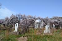 Kirgisistan - Friedhof am Issyk-Kul-See