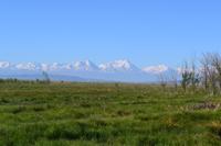 Kasachstan - Fahrt entlang der Berge nach Türkistan