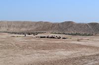 Turkmenistan - Festung Erk-Kala in der Ruinenstadt Merw