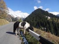 Auf dem Weg zum Almaty - See