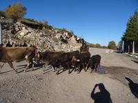 Kleine Straßensperre