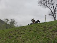 Vorführung im Adlerhof 