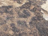 Felszeichnungen in Cholpon-Ata, am Issyk-Kul-See