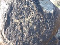 Felszeichnungen in Cholpon-Ata, am Issyk-Kul-See