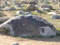 Felszeichnungen in Cholpon-Ata, am Issyk-Kul-See