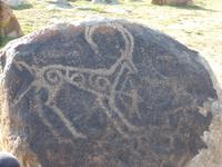 Felszeichnungen in Cholpon-Ata, am Issyk-Kul-See