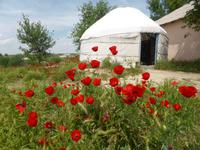 Eine Jurte als Ausstellungsraum