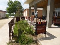 ausgestellte Teppiche