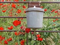 Wasserbehälter zum Händewaschen: Umywalnik