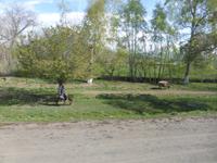 Unterwegs: Blick aus dem Fenster des Busses