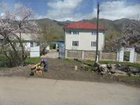 Das Obst, das zu viel ist, wird gleich auf der Straße zum Verkauf angeboten