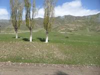 Unterwegs: Blick aus dem Fenster des Busses