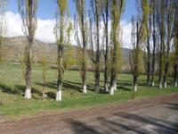 Unterwegs: Blick aus dem Fenster des Busses