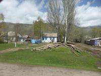 Gehölzpflege an Straßen