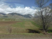 Unterwegs: Blick aus dem Fenster des Busses