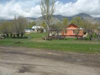 Unterwegs: Blick aus dem Fenster des Busses