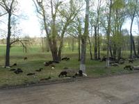 Unterwegs: Blick aus dem Fenster des Busses - Schaffe