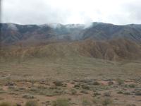 Unterwegs: Blick aus dem Fenster des Busses