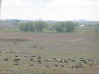 Blick aus dem Busfenster von unterwegs